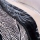 1枚 フェイクミンクフリースブランケット、キングサイズ、1プライエンボス加工490GSM シルキーソフトプラッシュ暖かいブランケット、秋冬用、ファッションフェザーパターン